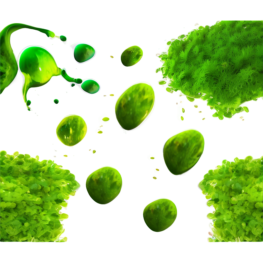 Algae Texture Background Png Wkb