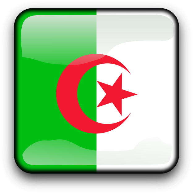 Algerian Flag Button