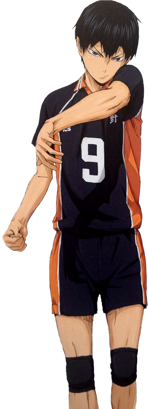 All Worlds Alliance Wiki - Haikyuu Facts, HD Png Download PNG with transparent background