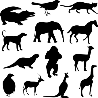 Alligatorin Darkness PNG with transparent background
