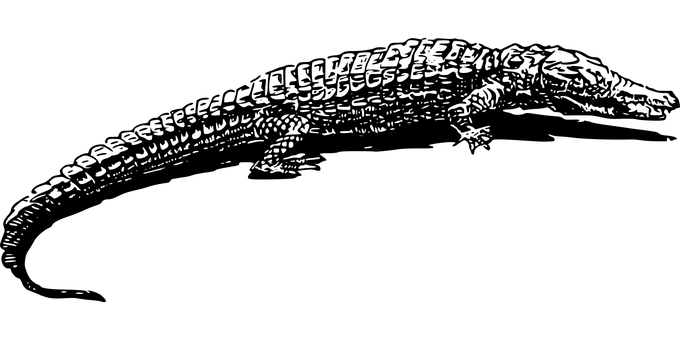 Alligatorin Darkness PNG with transparent background