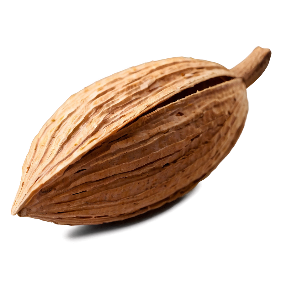 Almond In Shell Png 67