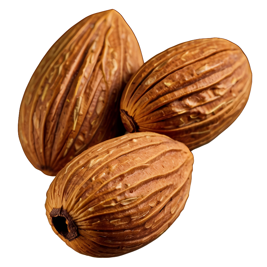 Almond Kernel Png Sjc87