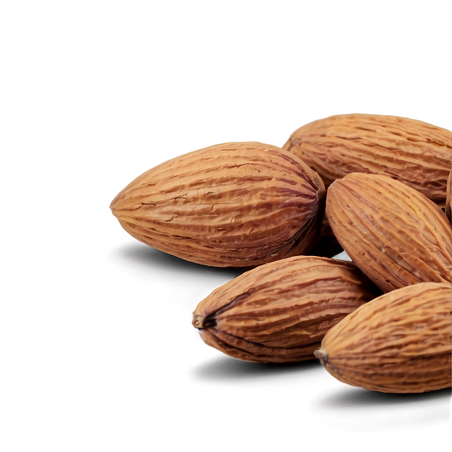 Almond Nut PNG 43 PNG with transparent background