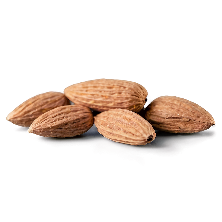 Almond On White Png Xwd