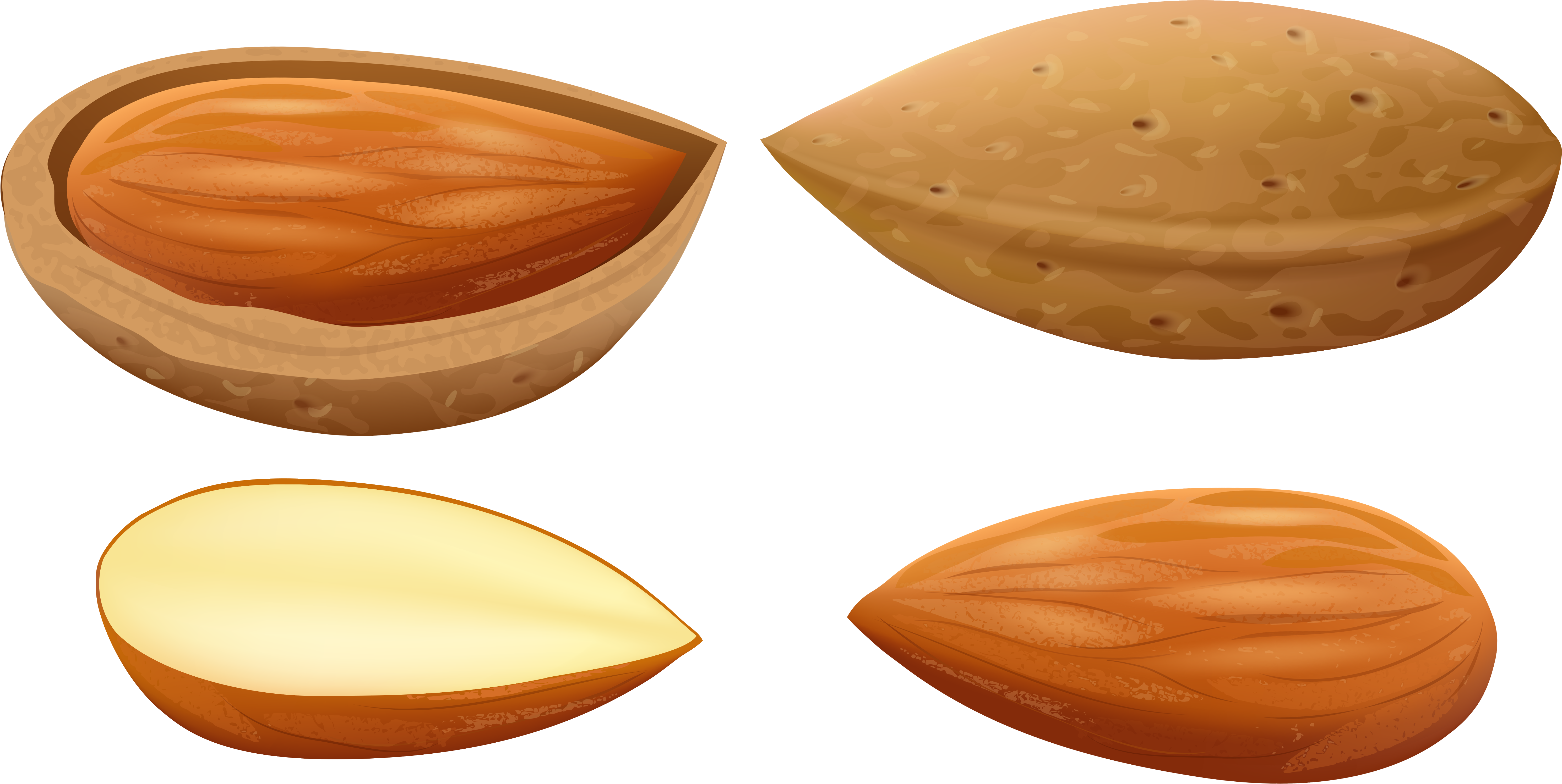 Almonds Png Clip Art - Almonds Clipart, Transparent Png PNG with transparent background