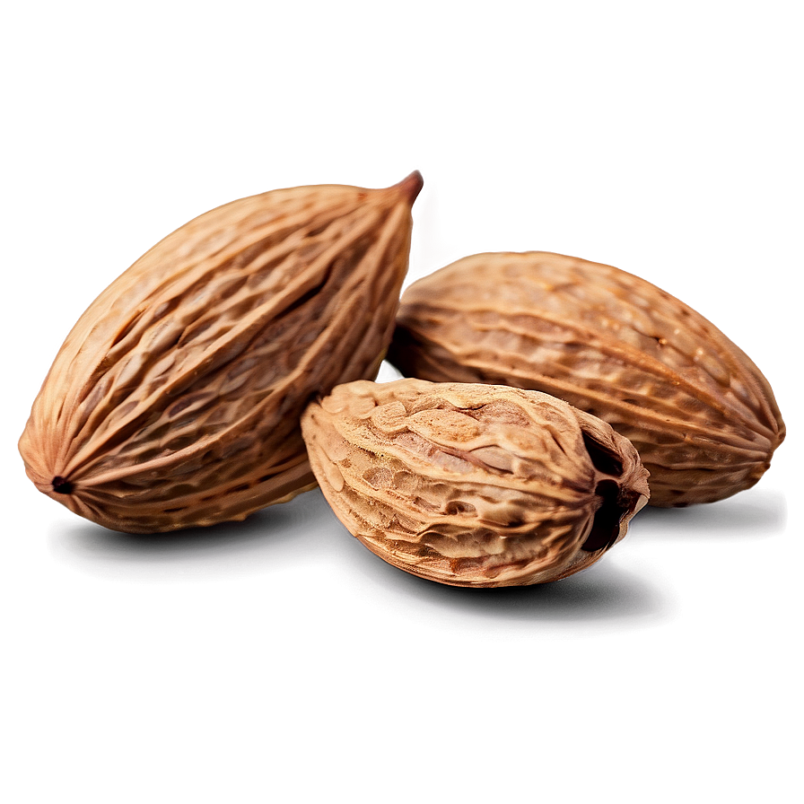 Almond Texture Png Ulv6