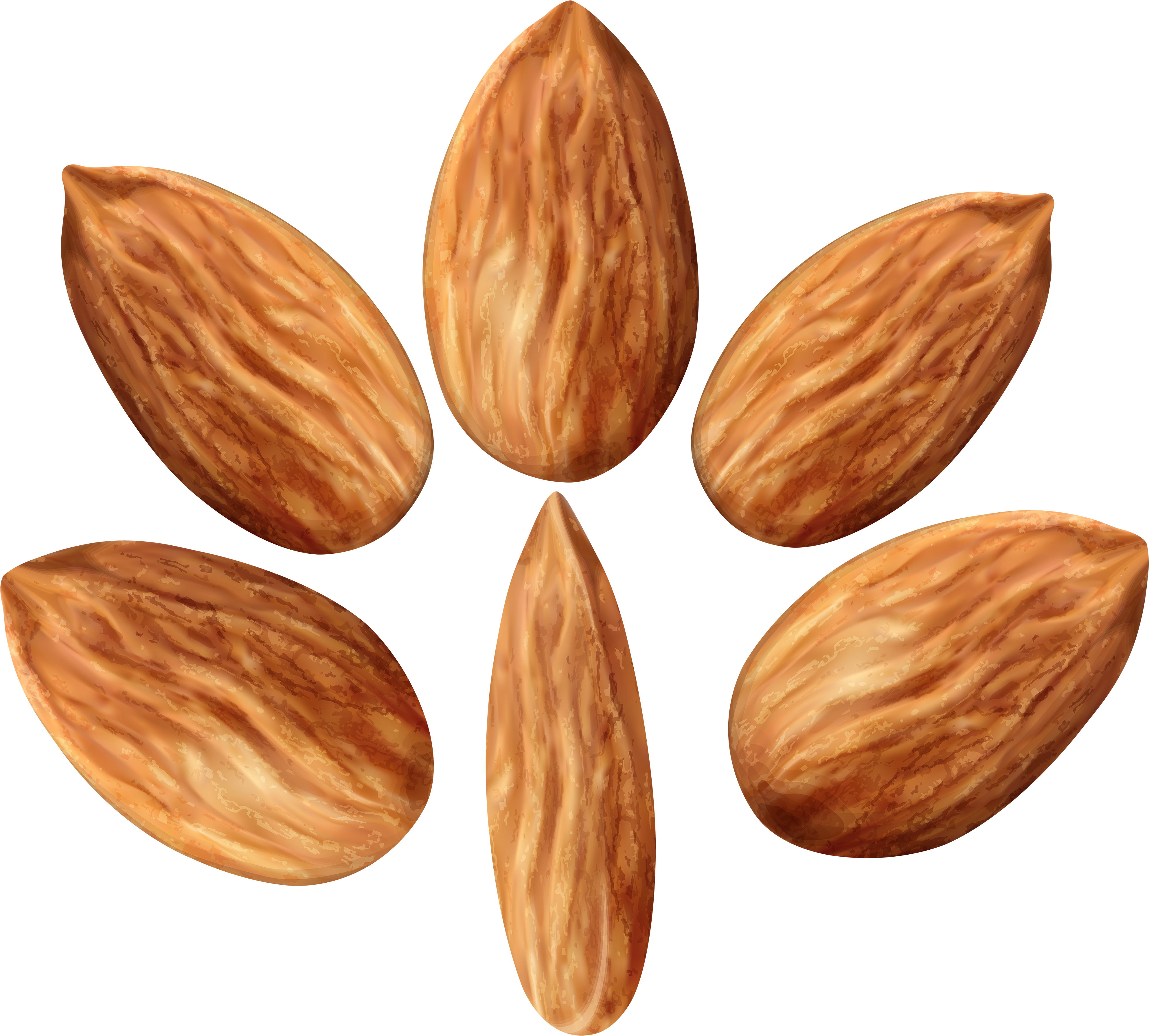 Almonds Cluster Transparent Background