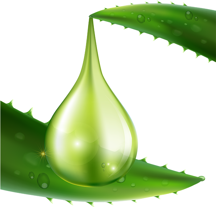 Aloe Vera Gel Drop Illustration