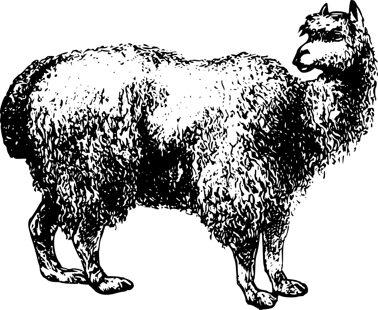 Alpaca Silhouette Graphic PNG image with a transparent background, free high-resolution download