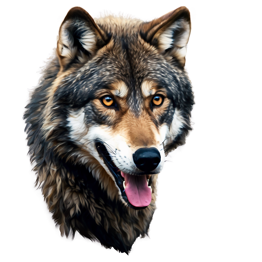 Alpha Wolf Illustration Png 77