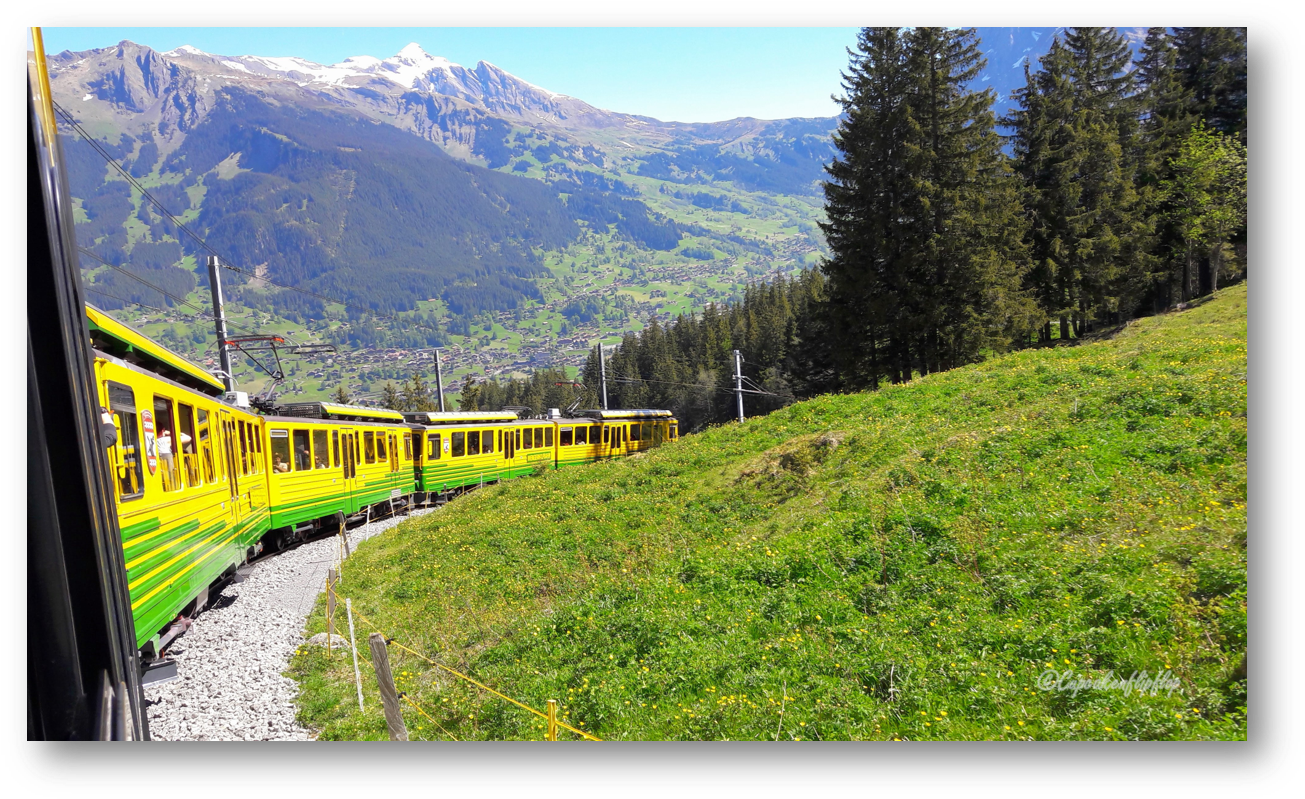 Alpine_ Train_ Journey