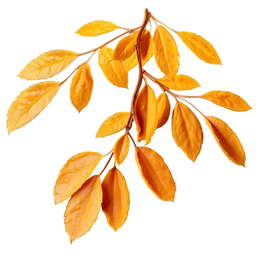 Amber Leaves Fall Png Msk61