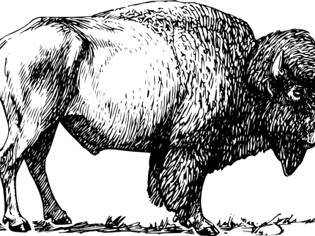 American Bison Silhouette