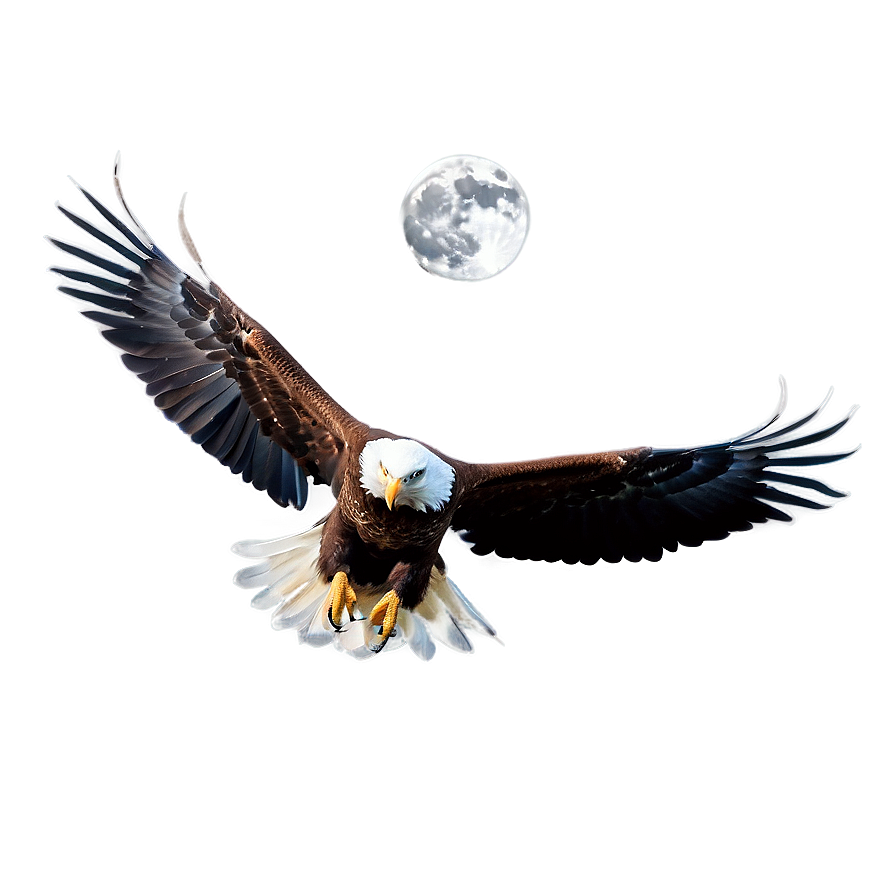 American Eagle And Moon Png Sjd