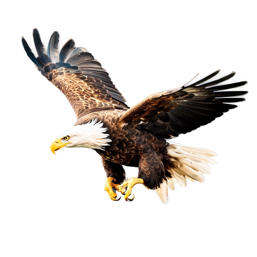 American Eagle Flying High Png Rob49