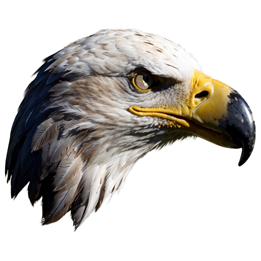 American Eagle Head Png Qwb