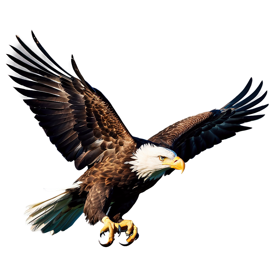 American Eagle In Nature Png Rls