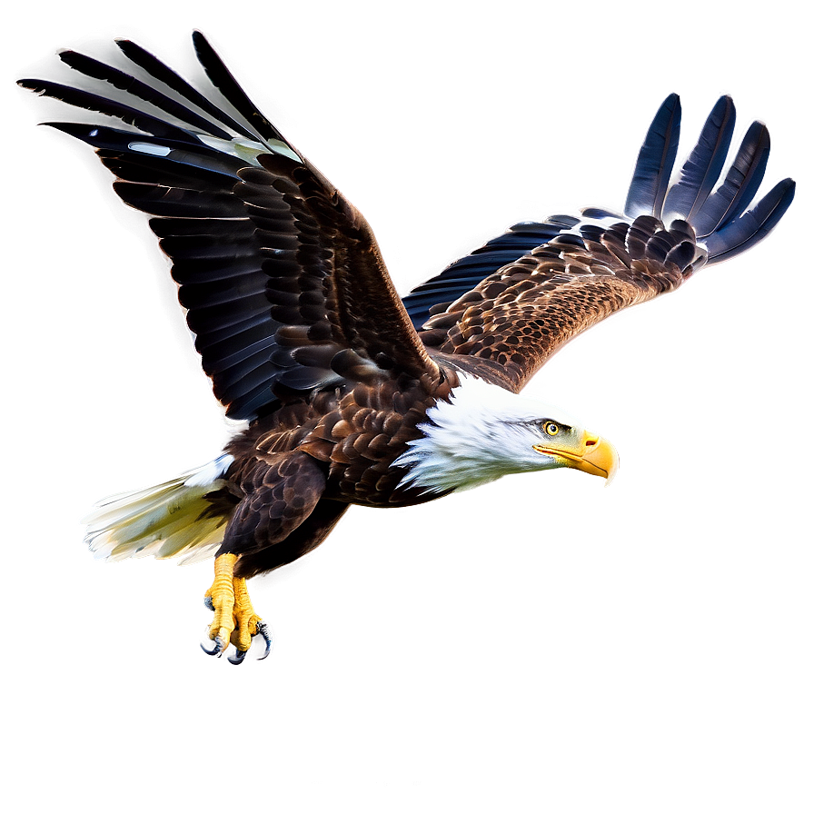 American Eagle In Sky Png 50