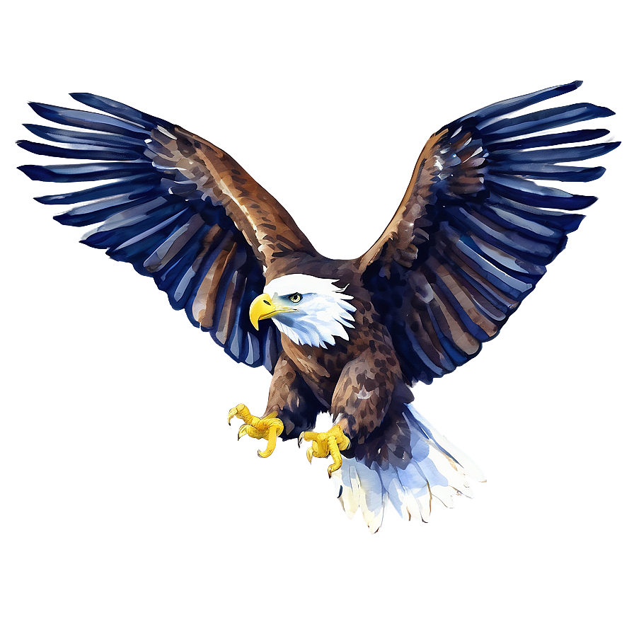 American Eagle Watercolor Png Bku80