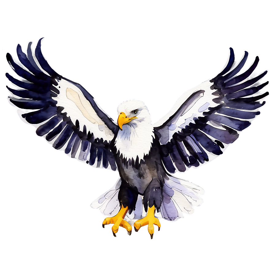 American Eagle Watercolor Png Qwf46