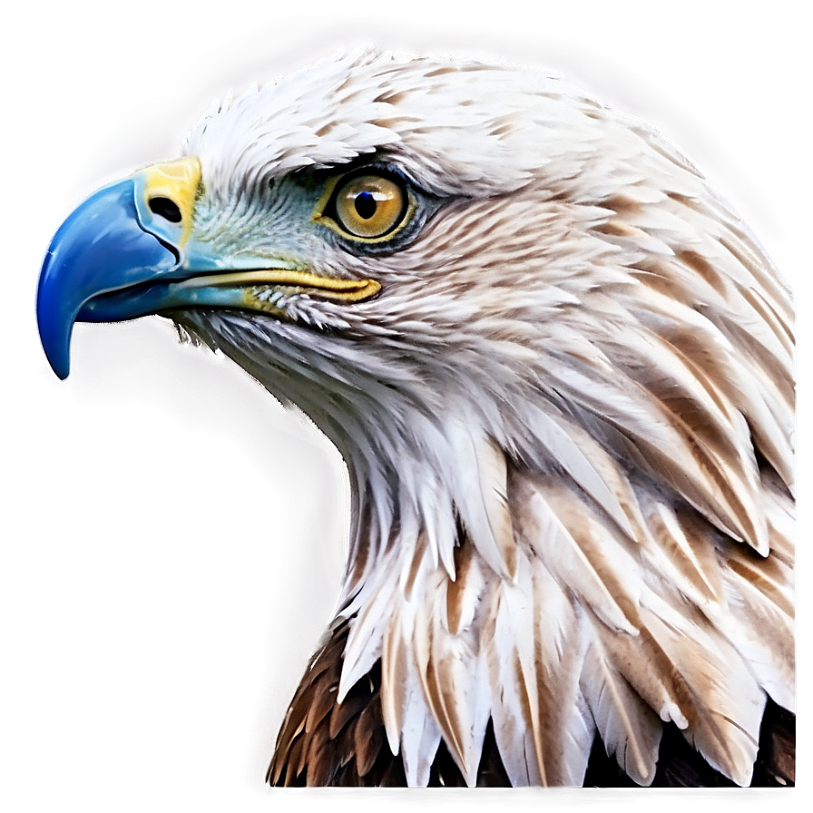 American Eagle With Mountains Png 30