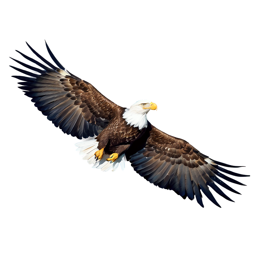 American Eagle With Mountains Png Txt