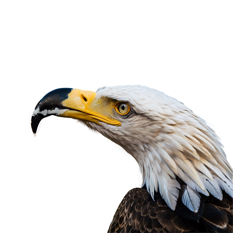 American Eagle With Prey Png Crr