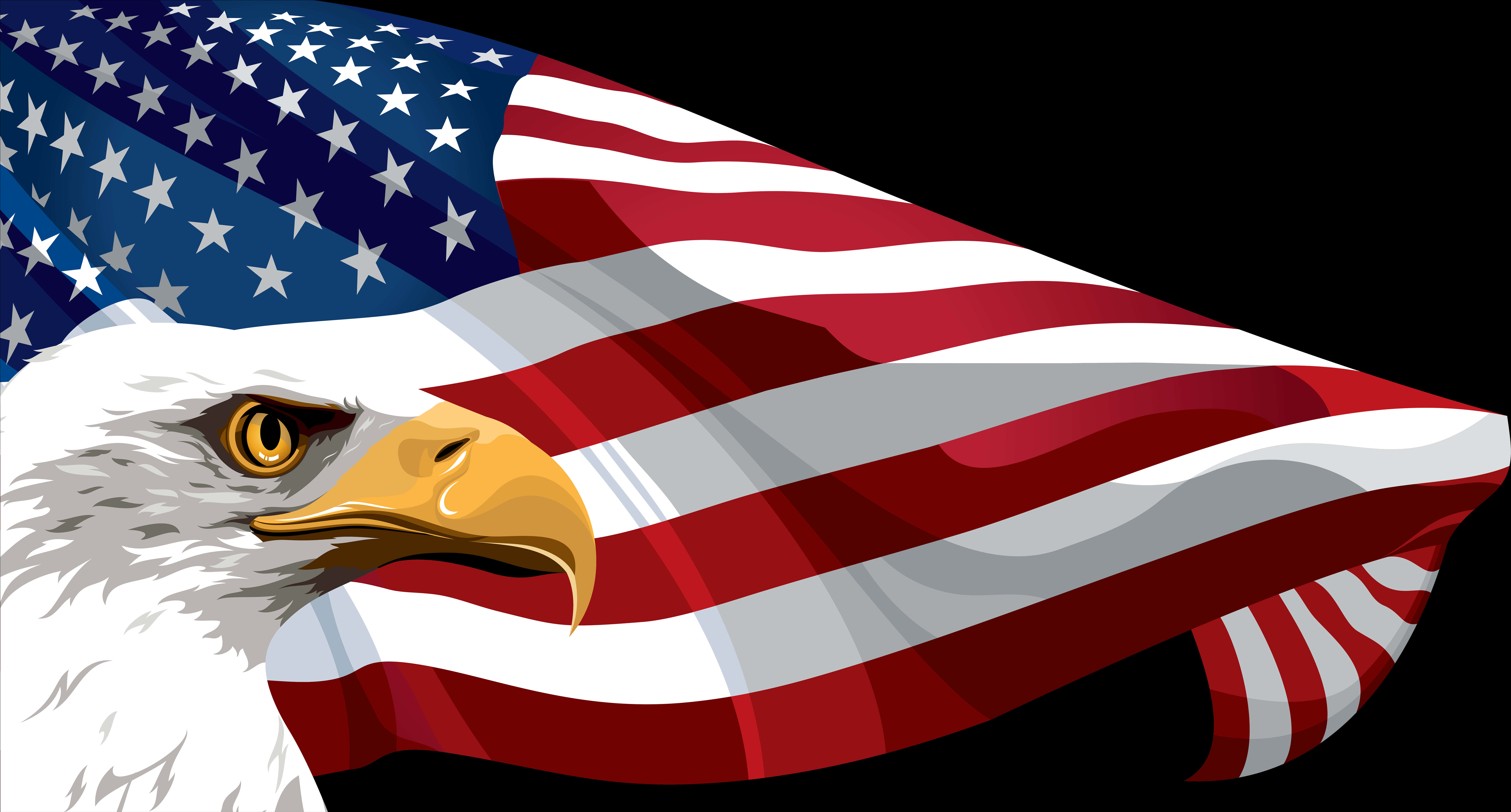 American Eagleand Flag Illustration