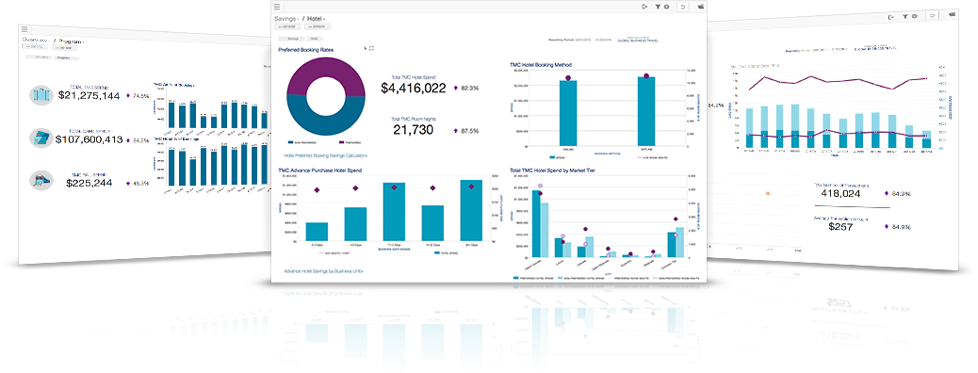 American Express Financial Dashboard Overview