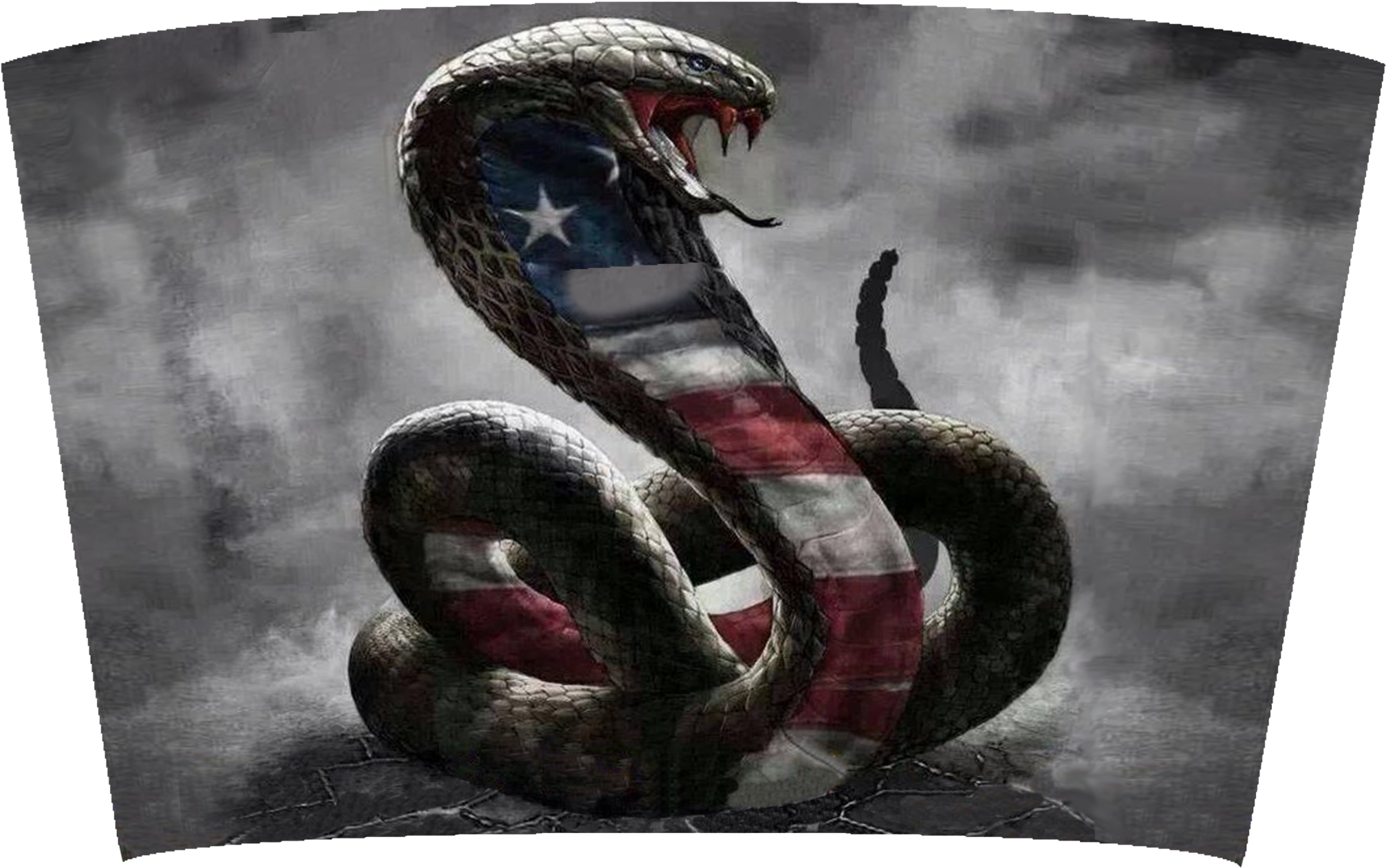 American Flag Cobra Artwork