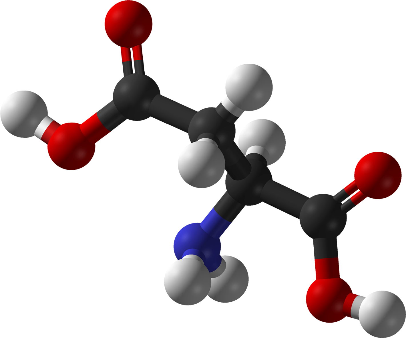 L Aspartic Ac - 3d Structure Of Aspartic Acid, HD Png Download PNG with transparent background