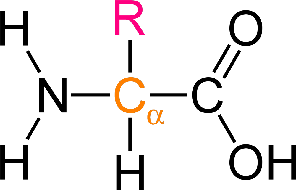 Amino Acid Structure Png Image - Alpha Amino Acid General Formula, Transparent Png PNG with transparent background