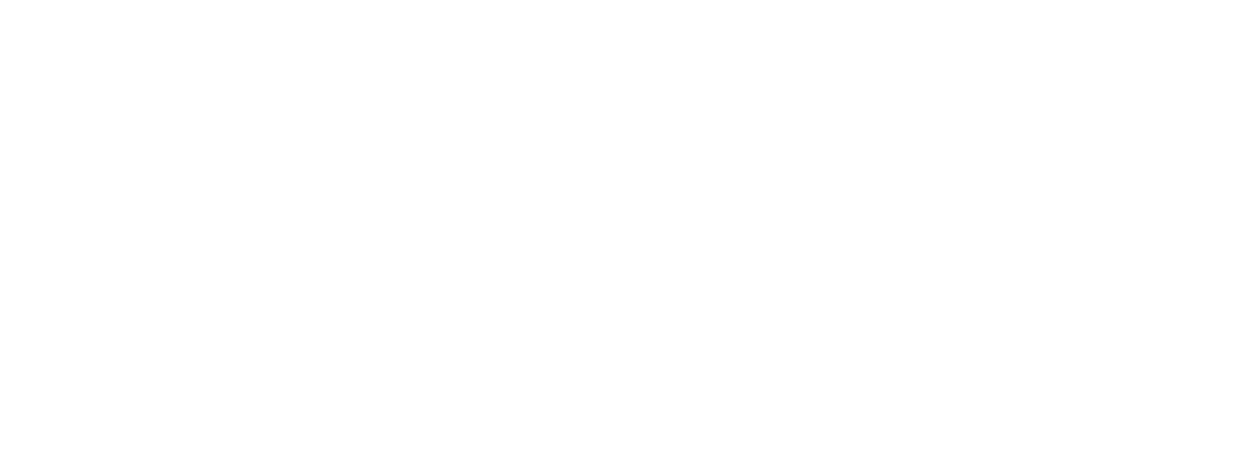 Amusement Park Silhouette Skyline