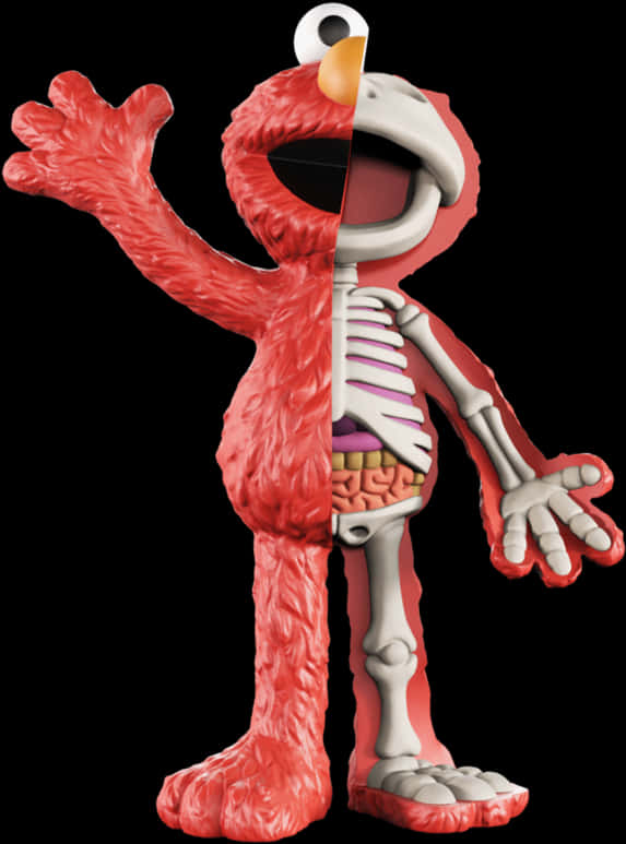 Anatomical Elmo Revealed PNG with transparent background