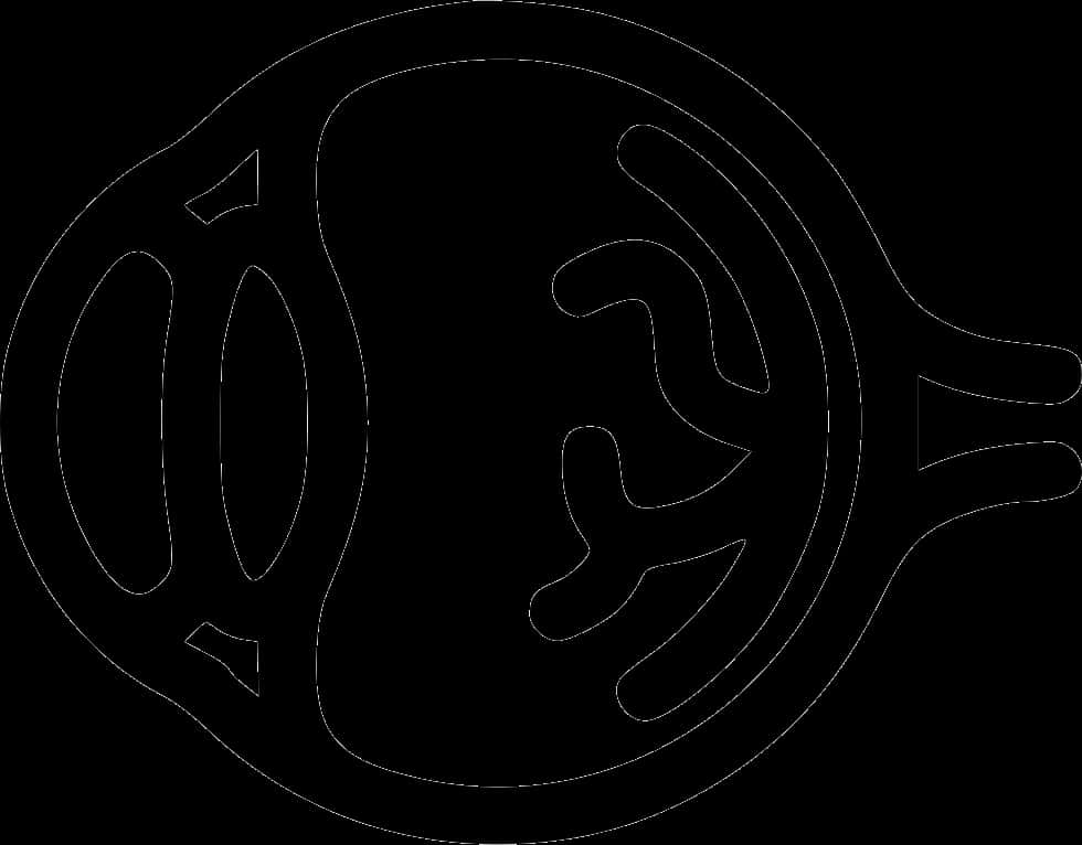 Anatomical Eye Diagram Outline PNG with transparent background