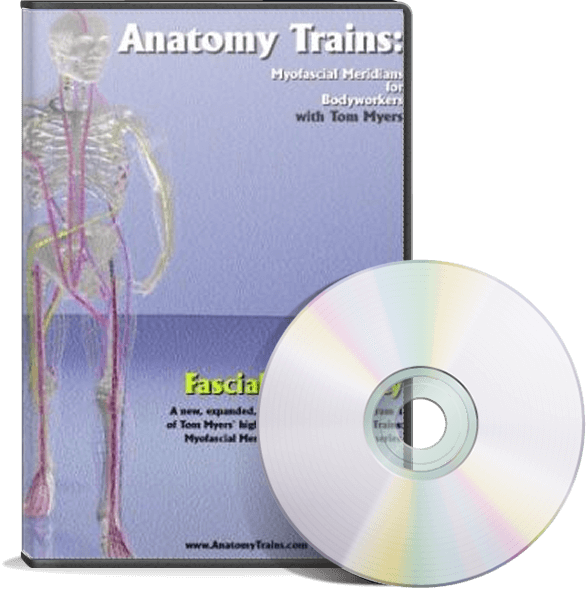 Anatomy Trains D V D Educational Cover