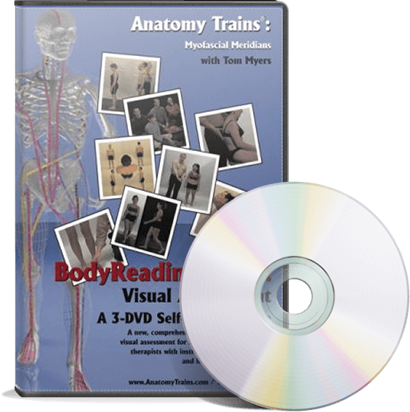 Anatomy Trains Myofascial Meridians D V D PNG with transparent background