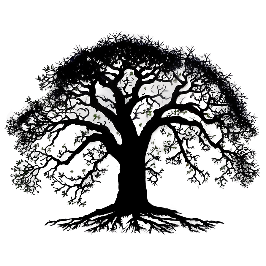 Ancient Oak Silhouette PNG 06262024 PNG with transparent background