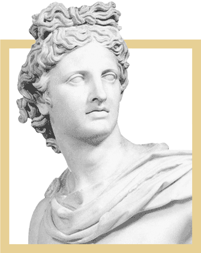 Combination Of Comfort And Luxury - Rome Statue Head Png, Transparent Png PNG with transparent background