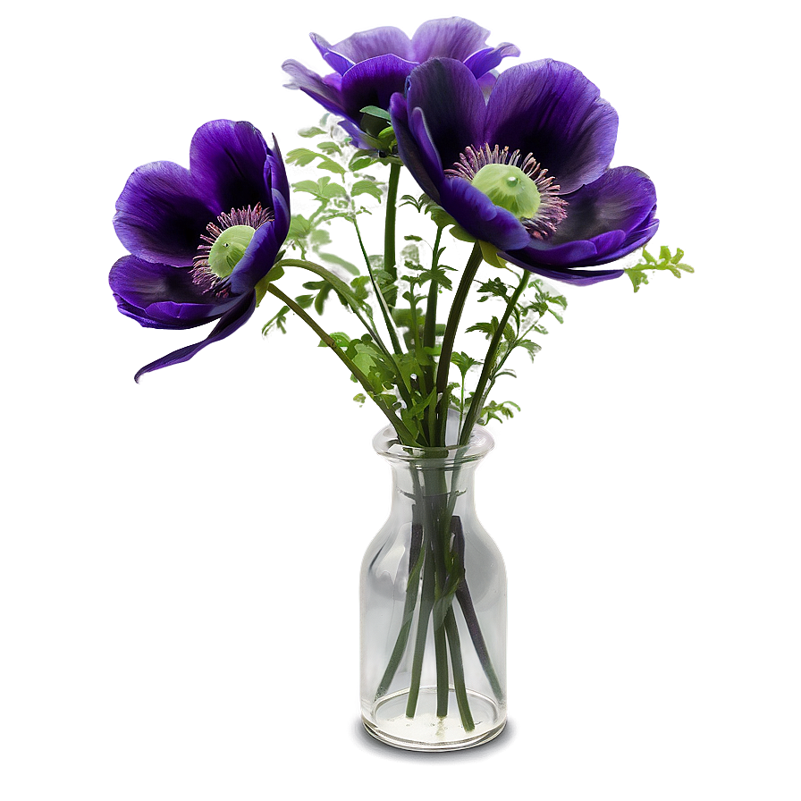 Anemone Bunch Png Cld