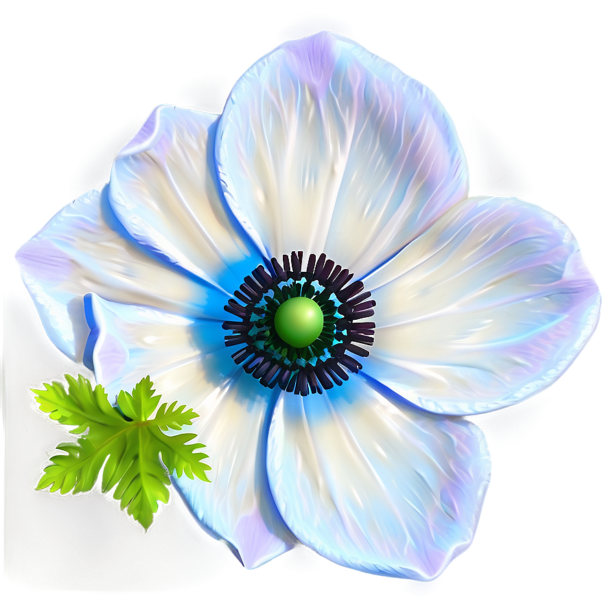 Anemone Clipart Png Awn