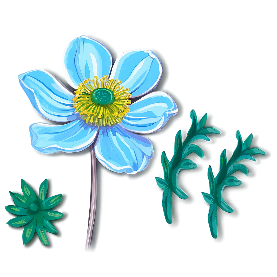 Anemone Drawing Png 87