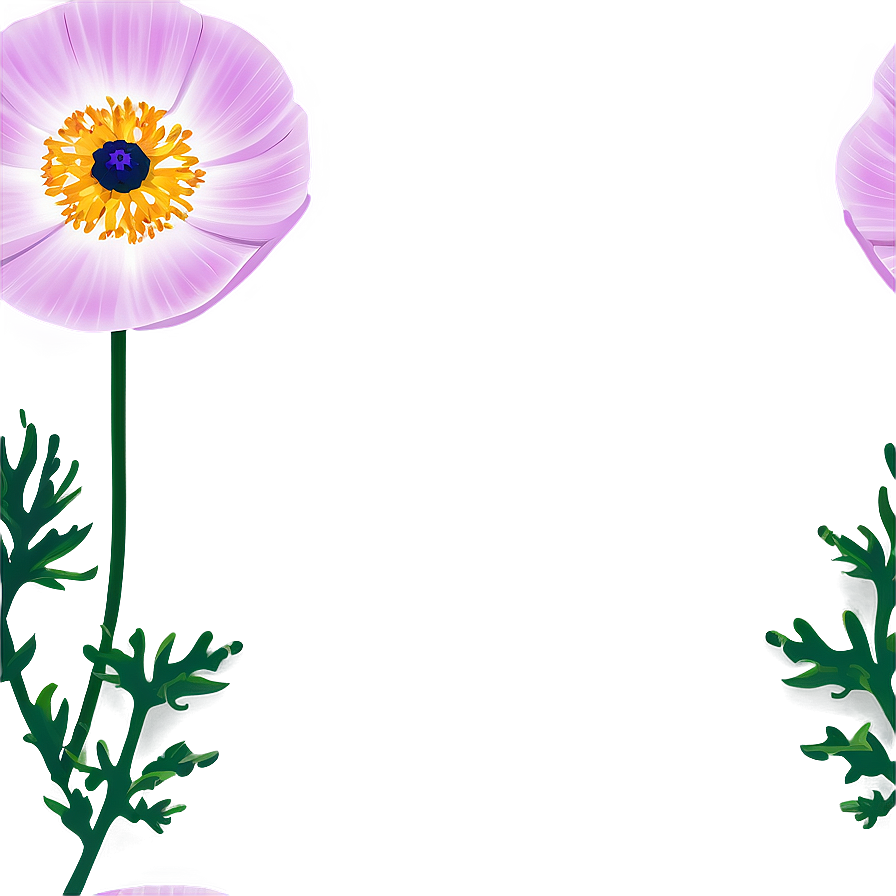 Anemone Vector Art Png 61