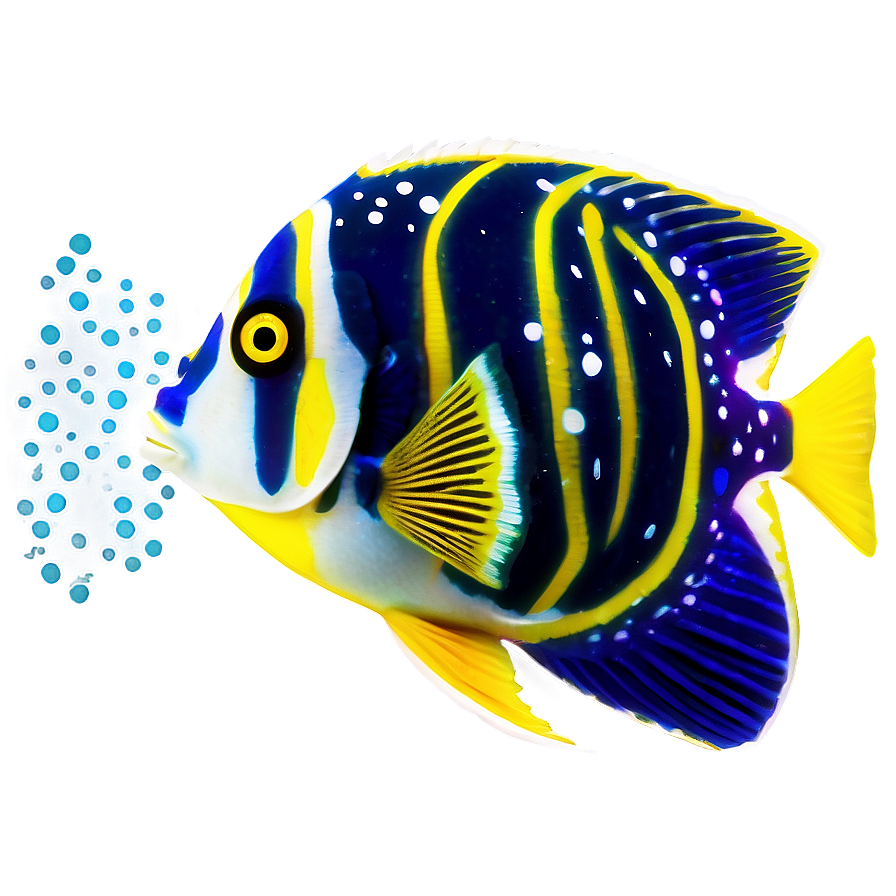 Angel Fish Transparent Png Oyd