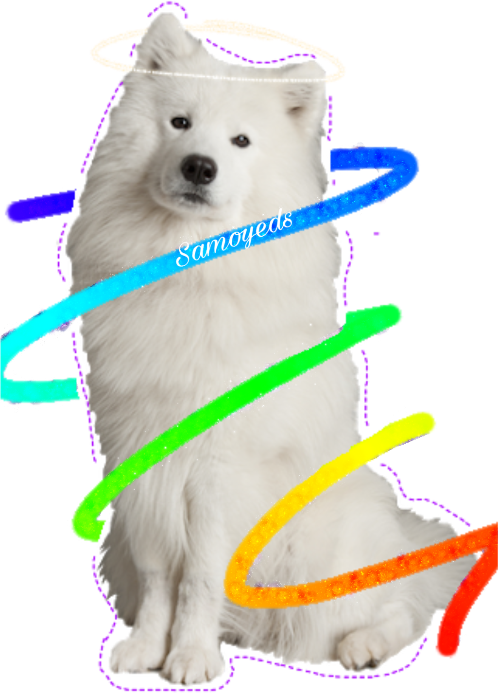 Angel Halo Samoyed Dog Surrounded By Colorful Rings