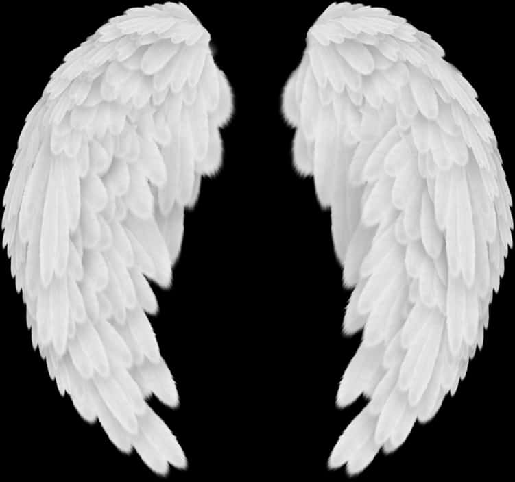 Angel Wings Black Background