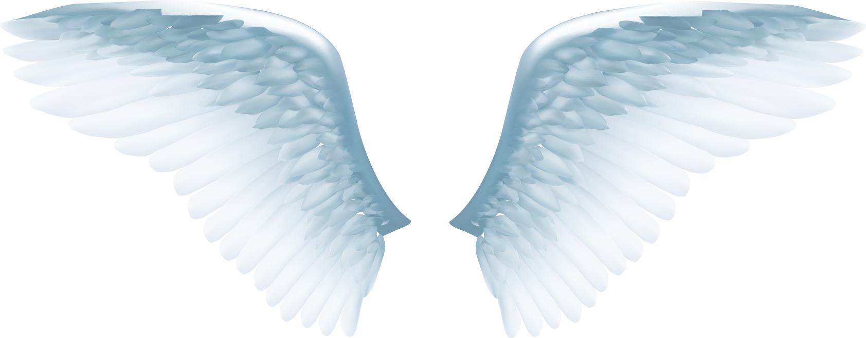 Angel Wing Icon - White Angel Wings Png, Transparent Png PNG with transparent background