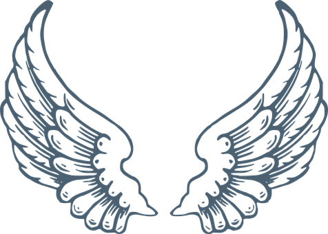 Angel Wings Graphic Design PNG with transparent background