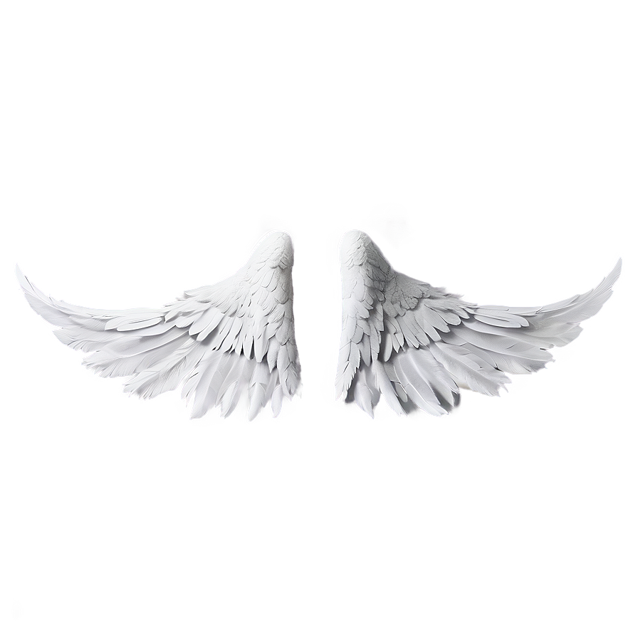 Angel Wings In White Png 06262024